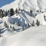 Haus Jehle Guest house Lech am Arlberg
