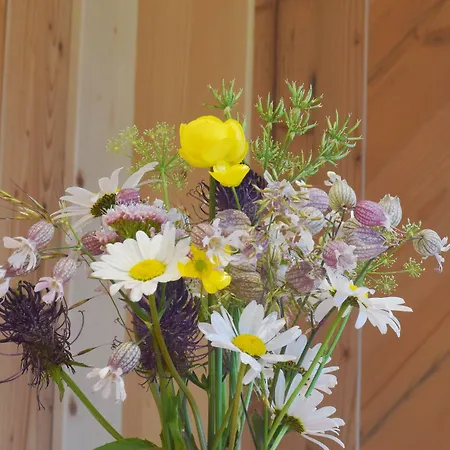 Haus Jehle 3* Lech am Arlberg