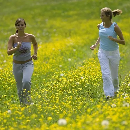 Haus Jehle Guest house Lech am Arlberg