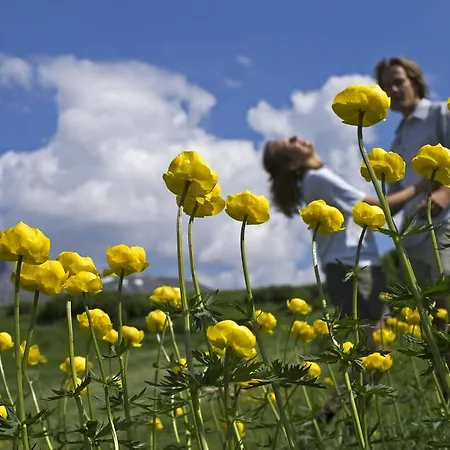 Haus Jehle Guest house 3*