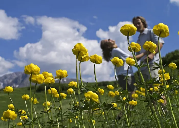 Haus Jehle Guest house 3*