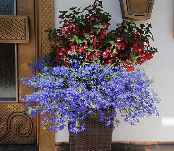 Haus Jehle Guest house Lech am Arlberg